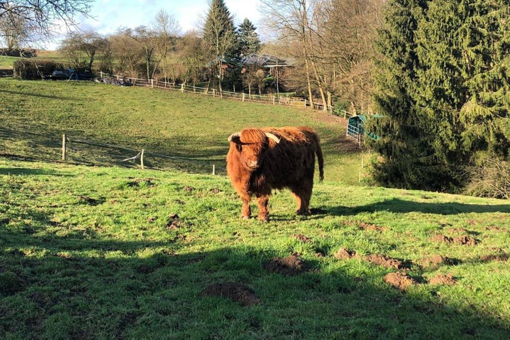 Ferienwohnung Und Monteurwohnung Matthies Naehe Koeln 30Km Kürten エクステリア 写真